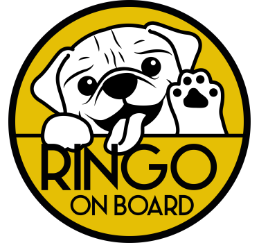 Autostickers Monocolor leuke hond gluren - TenStickers
