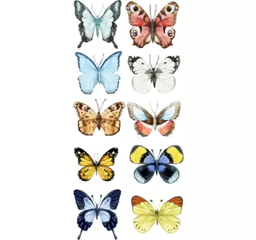 Verschillende vlinders sticker - TenStickers