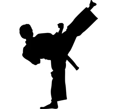 Karate silhouette sticker - TenStickers