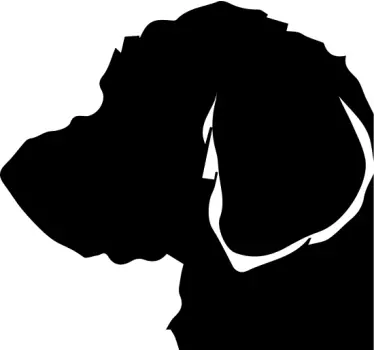 Autosticker Labradoolde - TenStickers