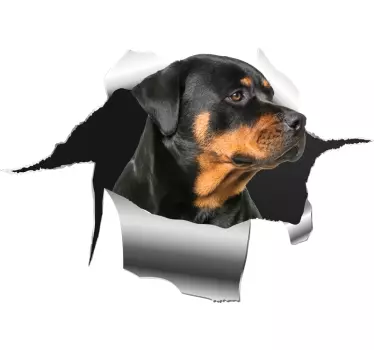 Rottweiler autosticker - TenStickers
