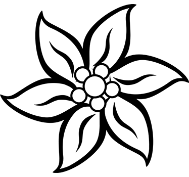 Bloemen muursticker woonkamer Edelweiss bloem - TenStickers