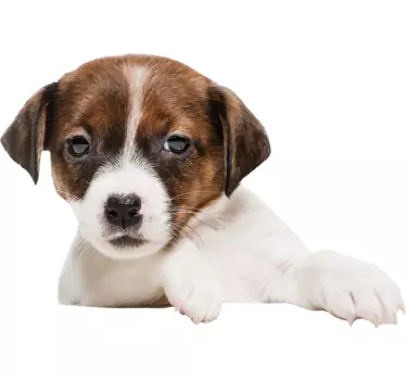 Glurende hond autosticker - TenStickers