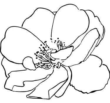 Bloemen muursticker Silhouet - TenStickers