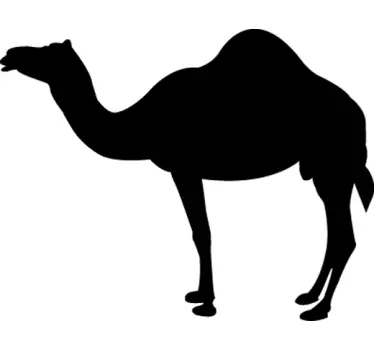 Sticker silhouette dromedaris - TenStickers
