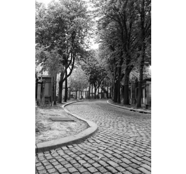 Sticker straat bomen - TenStickers