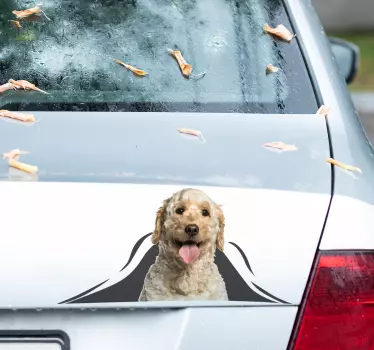 Labradoodle 3D autosticker - TenStickers