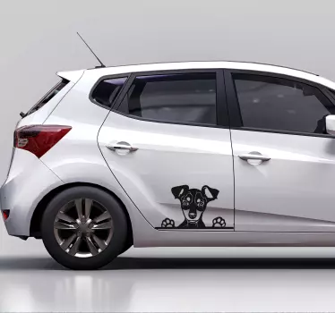 Sticker voor op auto glurende hond - TenStickers
