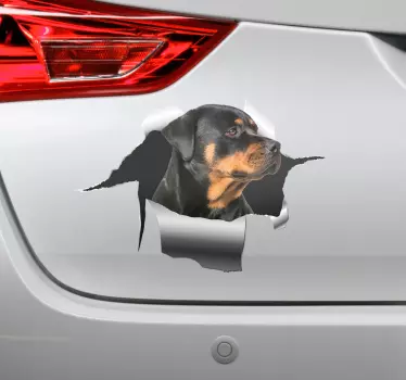 Rottweiler autosticker - TenStickers