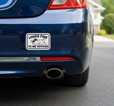 Autosticker ziet er prima uit voor u agent - TenStickers