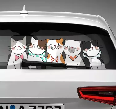 Sticker voor op auto katten - TenStickers