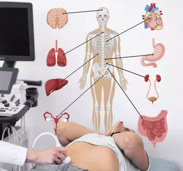 Muurstickers gezondheid lichaam met elementen - TenStickers