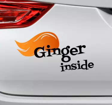 Gember op auto decoratie stickers auto - TenStickers