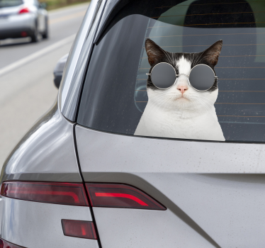 Kat met zonnebril autosticker - TenStickers