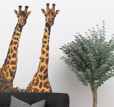 Sticker giraffe realistisch - TenStickers