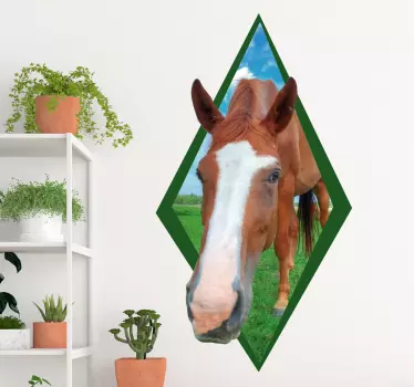 Muursticker nieuwsgierig paard - TenStickers