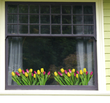 Raamsticker tulpen bloemen - TenStickers
