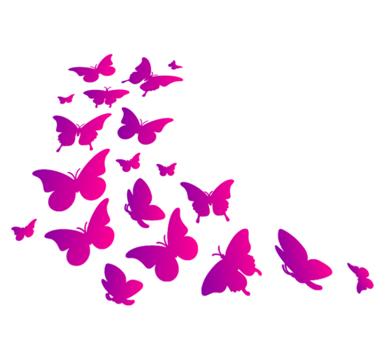 Dieren vinyl tapijt venster vlinder - TenStickers