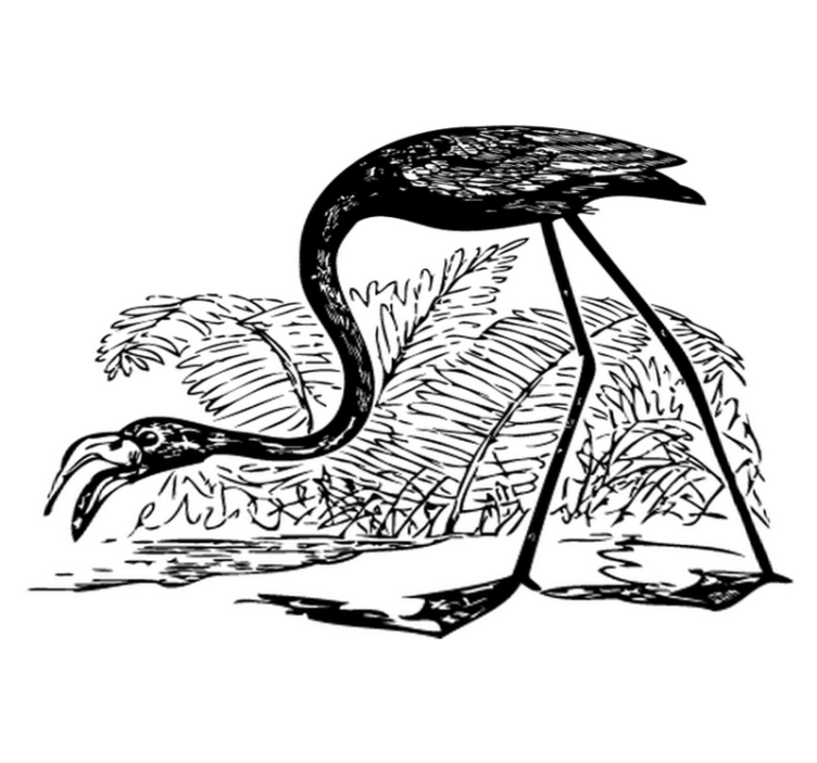 Dieren vinyl tapijt flamingo met varens - TenStickers