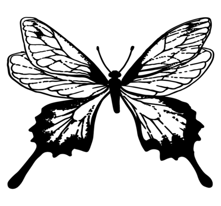Dieren vinyl tapijt graceful butterfly outline - TenStickers
