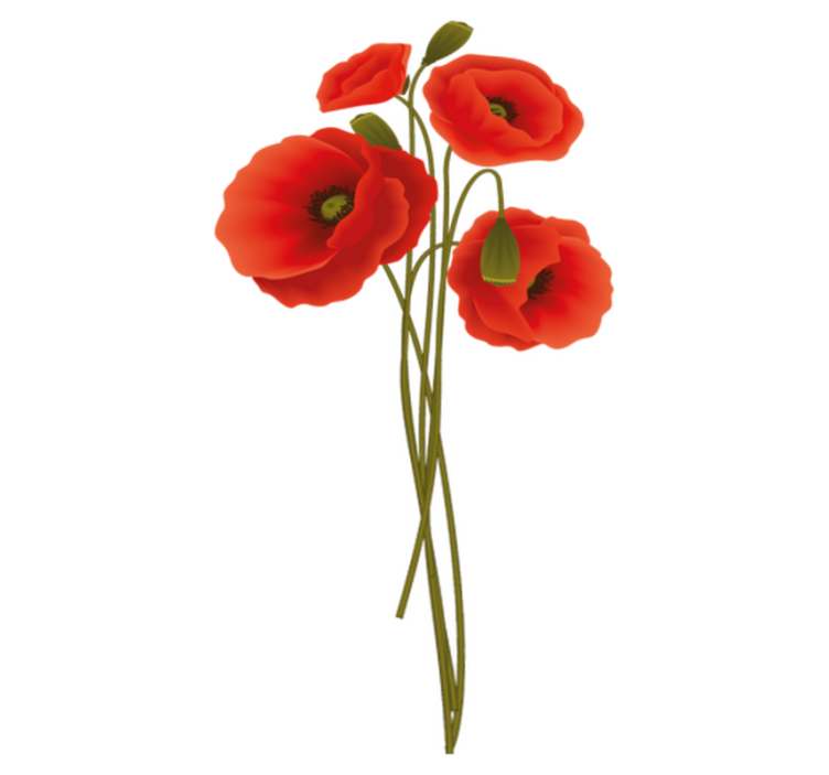 Vinyl vloerkleed badkamer delicate papavers - TenStickers