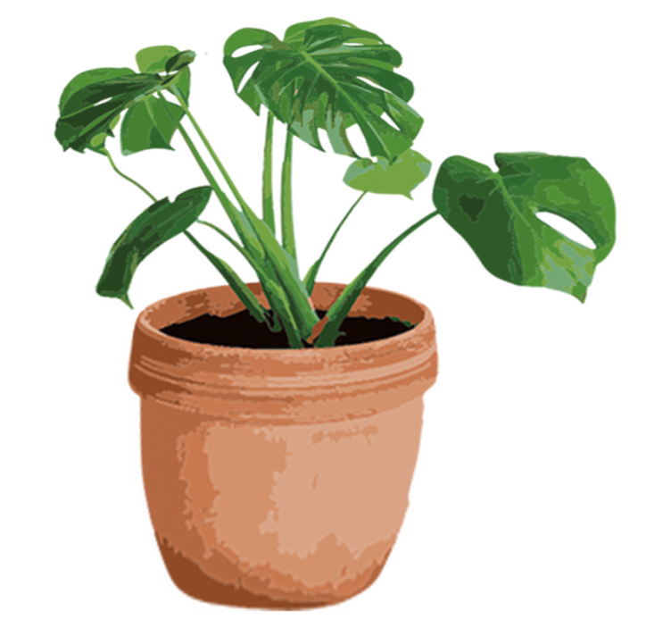 Vinyl tapijt bloemen en planten simpele monstera pot - TenStickers