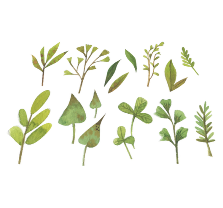 Vinyl tapijt bloemen en planten aquarella kleine bladeren - TenStickers