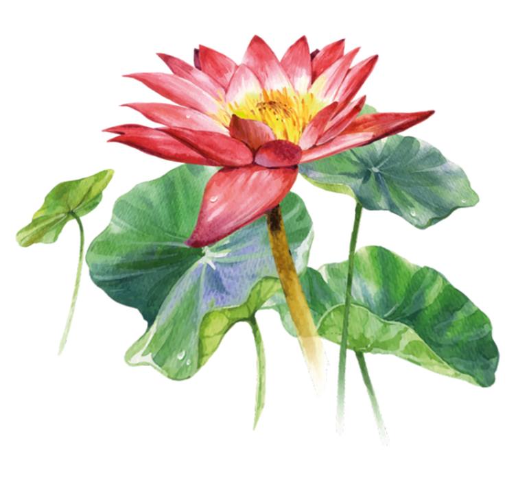 Vinyl tapijt slaapkamer lotus aquarel illusie - TenStickers