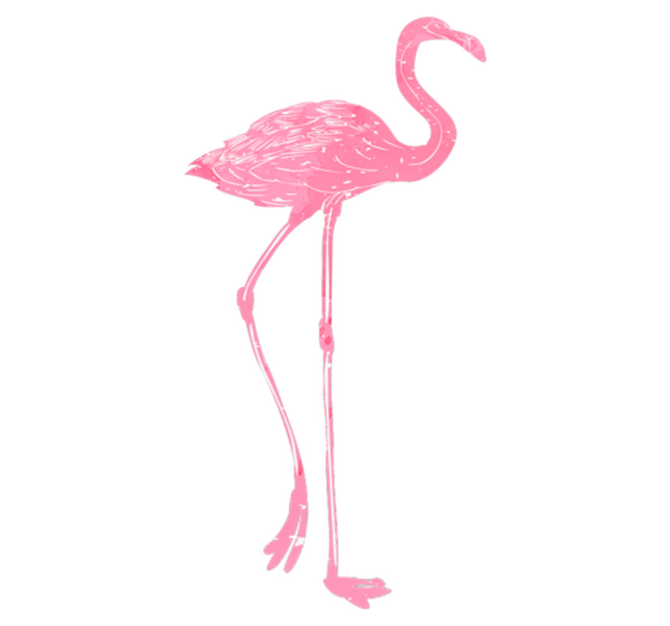 Vinyl tapijt slaapkamer aquarel flamenco - TenStickers