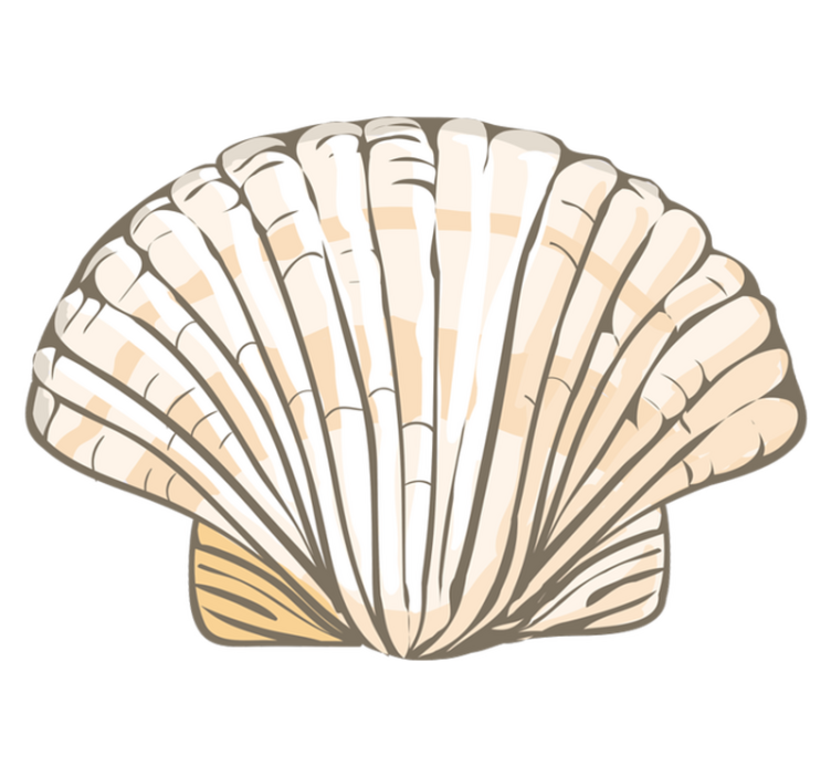 Schelpen vinyl tapijt Grote zeeschelp - TenStickers