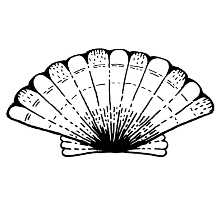 Schelppatroon accent vinyl tapijt natuur - TenStickers