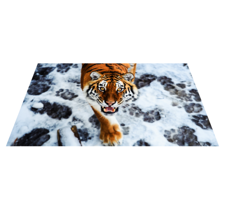Felle tijgerhouding dieren vinyl tapijt - TenStickers