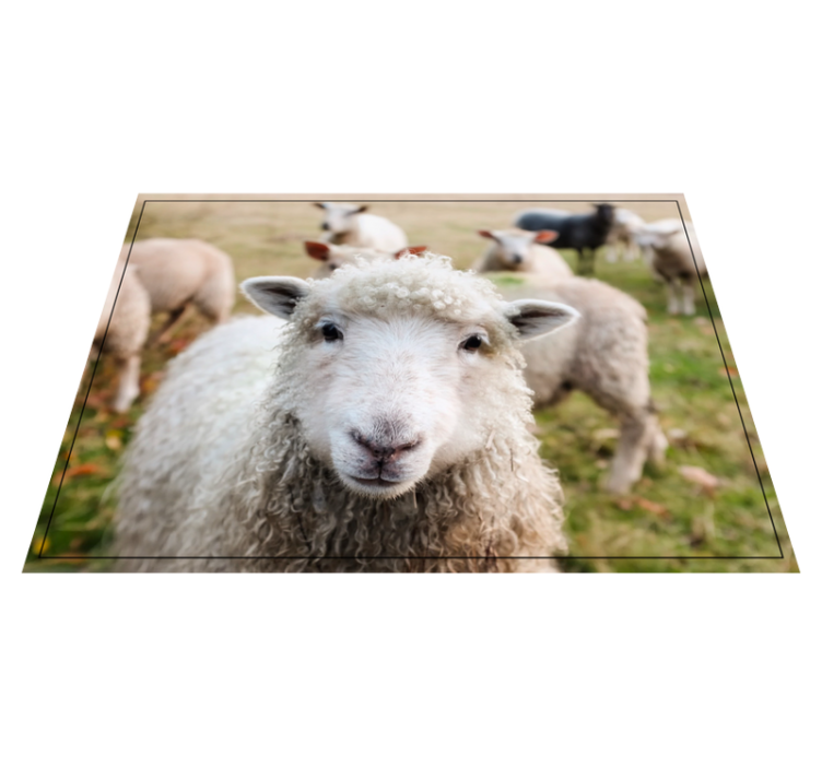 Krullend herdersgezicht dieren vinyl tapijt - TenStickers