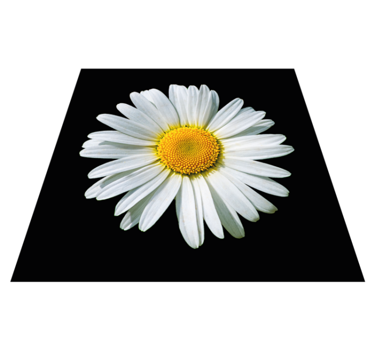 Madeliefjesbloesem vinyl tapijt bloemen en planten - TenStickers