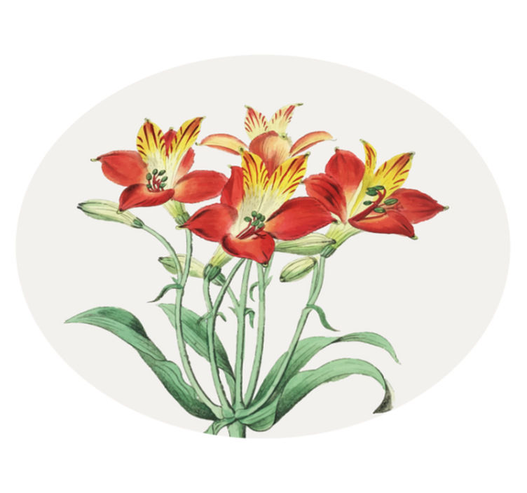 Levendige rode bloesems vinyl tapijt bloemen en planten - TenStickers