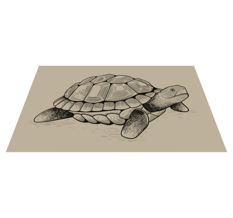 Schildpad illustratie dieren vinyl tapijt - TenStickers