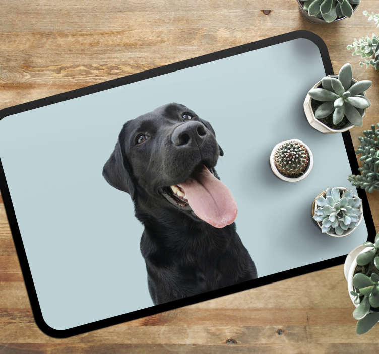 Zwarte labrador hond dieren vinyl tapijt - TenStickers