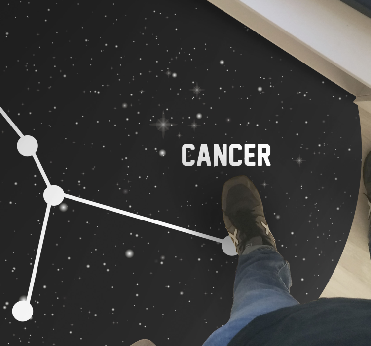 Hemelse constellatie vinyl tapijt sterren - TenStickers