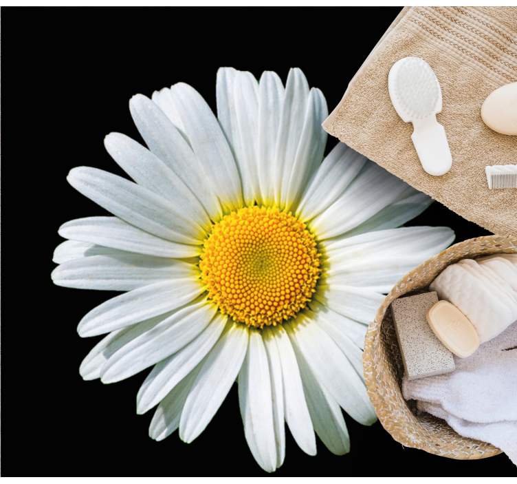 Madeliefjesbloesem vinyl tapijt bloemen en planten - TenStickers