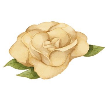 Bloemencontour vinyl tapijt bloemen en planten - TenStickers