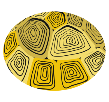 Concentrische abstractie vinyl tapijt geometrisch - TenStickers