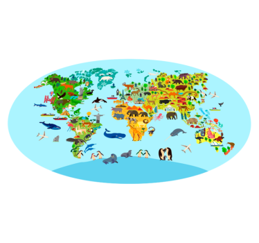 Wereldkaart vinyl tapijt Fauna en vegetatie - TenStickers