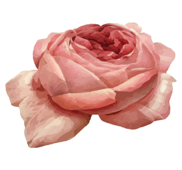 Weelderige roze bloei vinyl tapijt bloemen en planten - TenStickers