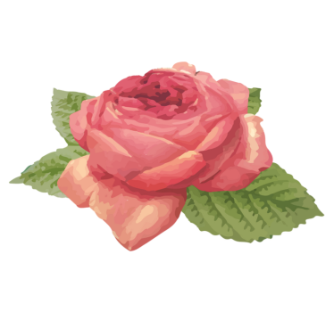 Levendige rozenbloesem vinyl tapijt bloemen en planten - TenStickers
