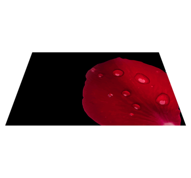 Rode bloemblaadjes glamour vinyl tapijt woonkamer - TenStickers