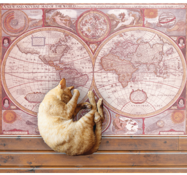 Vintage wereldbol vinyl tapijt wereldkaart - TenStickers