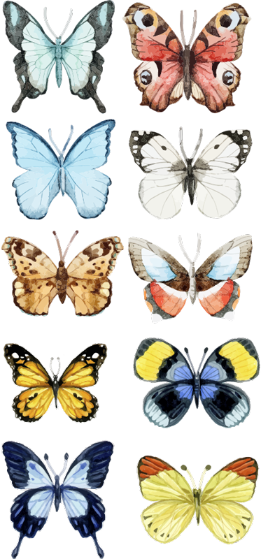 Dieren vinyl tapijt tien kleurrijke vlinders - TenStickers