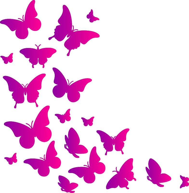 Dieren vinyl tapijt venster vlinder - TenStickers