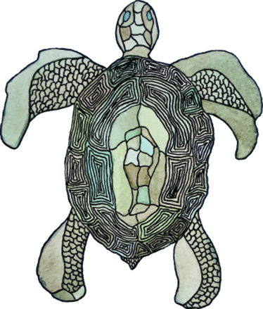 Dieren vinyl tapijt klassieke schildpad - TenStickers