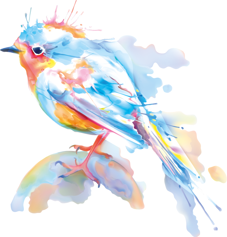 Dieren vinyl tapijt vogelspetters - TenStickers